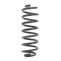 Suspension Spring set rear axle coil spring Ø 117...