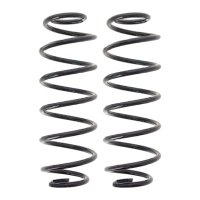 Suspension Spring set rear axle coil spring Ø 113...