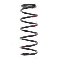 Suspension Spring set rear axle coil spring Ø 110...