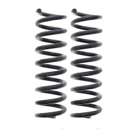Suspension Spring set rear axle coil spring Ø 99...
