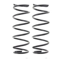 Suspension Spring set rear axle coil spring Ø 111...