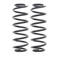 Suspension Spring set rear axle coil spring Ø 110...