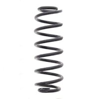 Suspension Spring set rear axle coil spring Ø 110...