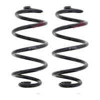 Suspension Spring set rear axle coil spring Ø 141...
