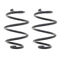 Suspension Spring set rear axle coil spring Ø 131...