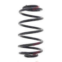 Fahrwerksfedern-Set Hinterachse Schraubenfeder Ø...