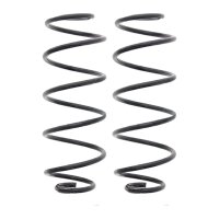 Suspension Spring set rear axle coil spring Ø 117...