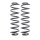 Suspension Spring set rear axle Ø 116 mm KYB for e.g. SKODA OCTAVIA