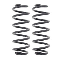 Suspension Spring set rear axle coil spring Ø 111...