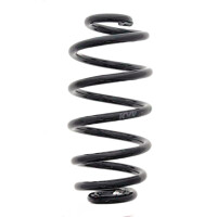 Suspension Spring set rear axle coil spring Ø 132...
