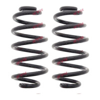 Suspension Spring set rear axle coil spring Ø 131...