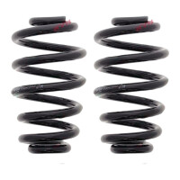 Suspension Spring set rear axle coil spring Ø 134...
