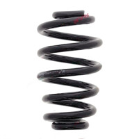 Suspension Spring set rear axle coil spring Ø 134...