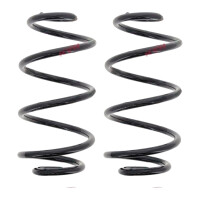 Suspension Spring set rear axle coil spring Ø 133...