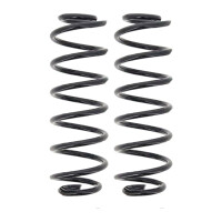 Suspension Spring set rear axle coil spring Ø 111...