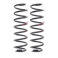 Suspension Spring set rear axle coil spring Ø 103...