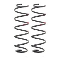 Suspension Spring set rear axle coil spring Ø 120...