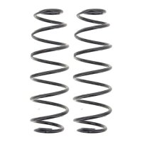 Suspension Spring set rear axle coil spring Ø 110...