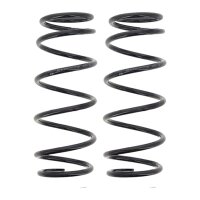 Suspension Spring set rear axle coil spring Ø 113...