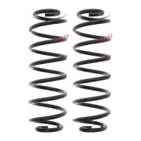 Suspension Spring set rear axle coil spring Ø 118...