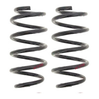 Fahrwerksfedern-Set Hinterachse Schraubenfeder Ø...
