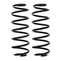 Suspension Spring set rear axle coil spring Ø 110...