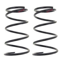 Suspension Spring set front axle coil spring Ø 170...