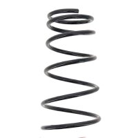 Suspension Spring set rear axle coil spring Ø 170...