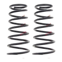 Fahrwerksfedern-Set Hinterachse Schraubenfeder Ø...