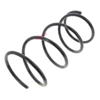 Suspension Spring set rear axle coil spring Ø 166...