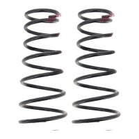 Suspension Spring set rear axle coil spring Ø 149...