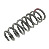 Suspension Spring set rear axle coil spring Ø 111...