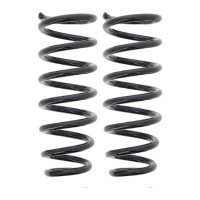 Suspension Spring set rear axle coil spring Ø 110...
