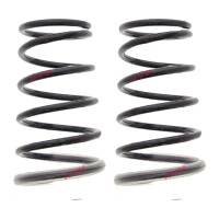 Suspension Spring set rear axle coil spring Ø 171...
