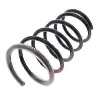 Suspension Spring set rear axle coil spring Ø 171...