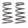 Suspension Spring set rear axle coil spring Ø 171 mm KYB for NISSAN X-TRAIL