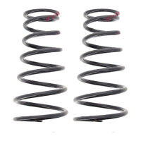 Suspension Spring set rear axle coil spring Ø 174...