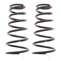 Suspension Spring set rear axle coil spring Ø 171...