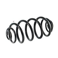 Suspension Spring set rear axle coil spring Ø 141...