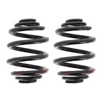 Fahrwerksfedern-Set hinten Schraubenfeder Ø 163 mm...