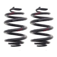 Suspension Spring Set rear coil spring Ø 160 mm...