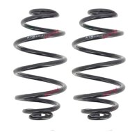 Fahrwerksfedern-Set hinten Schraubenfeder Ø 145 mm...