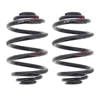 Suspension Spring Set rear coil spring Ø 141 mm...