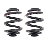 Suspension Spring Set rear coil spring Ø 151 mm...