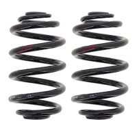Fahrwerksfedern-Set hinten Schraubenfeder Ø 145 mm...