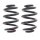 Suspension Spring Set rear coil spring Ø 170 mm KYB IAM-Expertise for VW