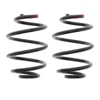 Fahrwerksfedern-Set hinten Schraubenfeder Ø 142 mm...
