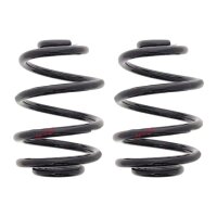 Fahrwerksfedern-Set hinten Schraubenfeder Ø 167 mm...