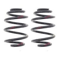 Fahrwerksfedern-Set hinten Schraubenfeder Ø 143 mm...