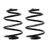 Fahrwerksfedern-Set hinten Schraubenfeder Ø 140 mm...